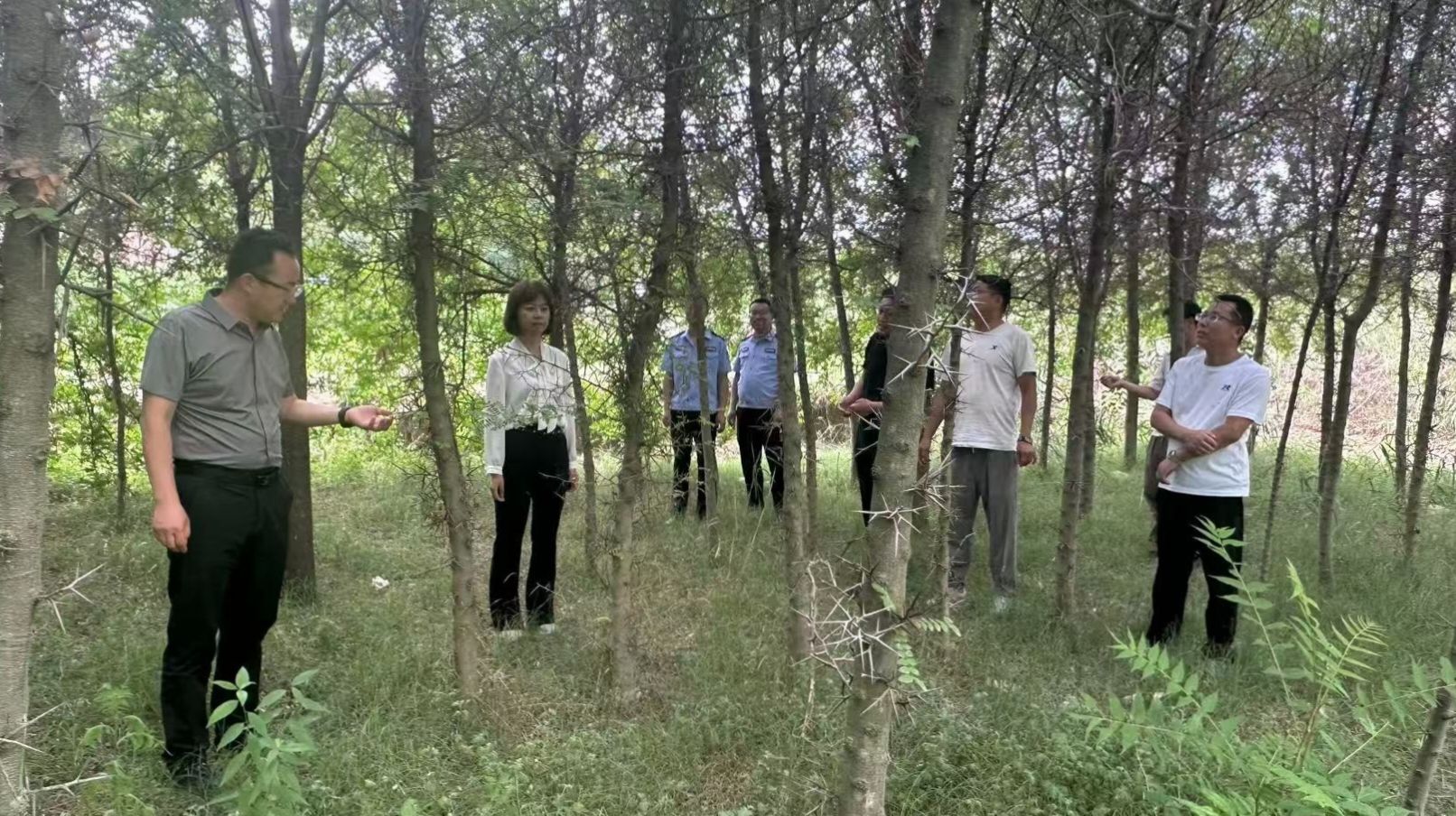 6960780868d54e2fbdd0b70c6fcf674