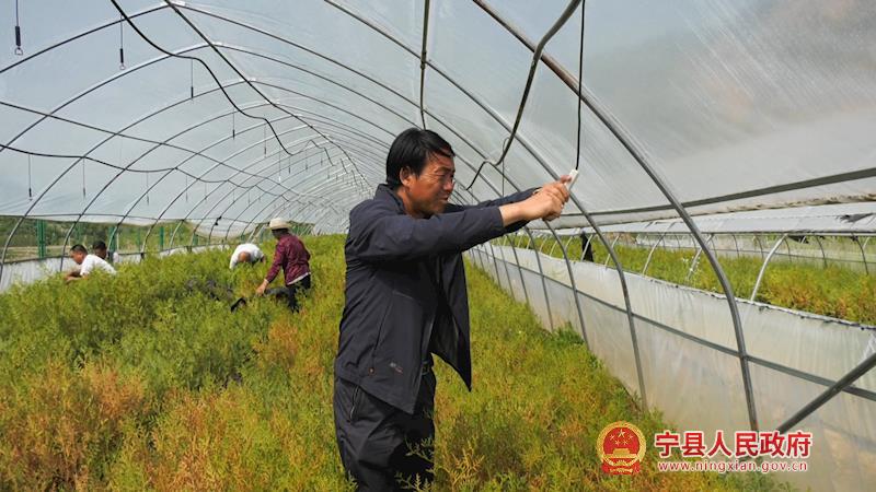 ce9970af463e43b79df3ac5b51d8fe7c.jpg ce9970af463e43b79df3ac5b51d8fe7c.jpg