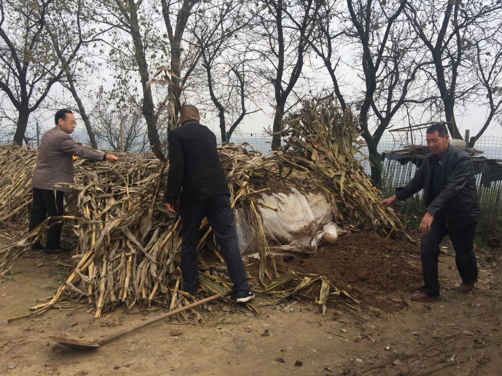 1617957746621016458.jpg 1617957746621016458.jpg