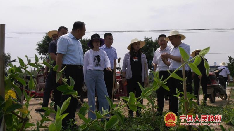 5b2cfe9d7d734e4bb9d577d54cb1148e.jpg