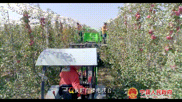 472d5ba060fd4e1eb1867e8bbb86301d.Gif