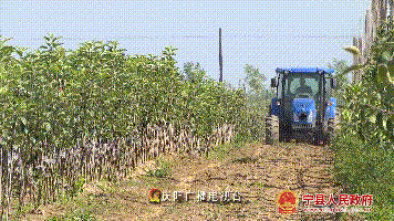 c10a73358e0d4c1d9ce1b9aae4c831eb.Gif
