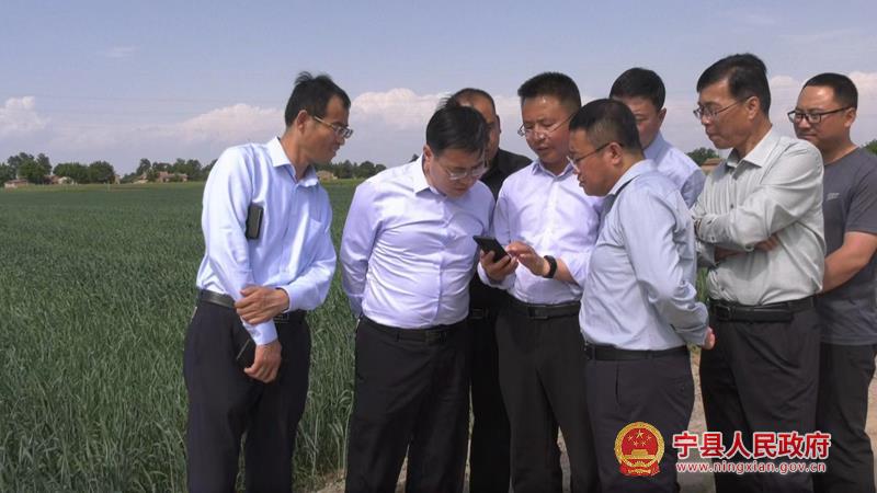 aadd43fc5641484baca74232f094e036.jpg