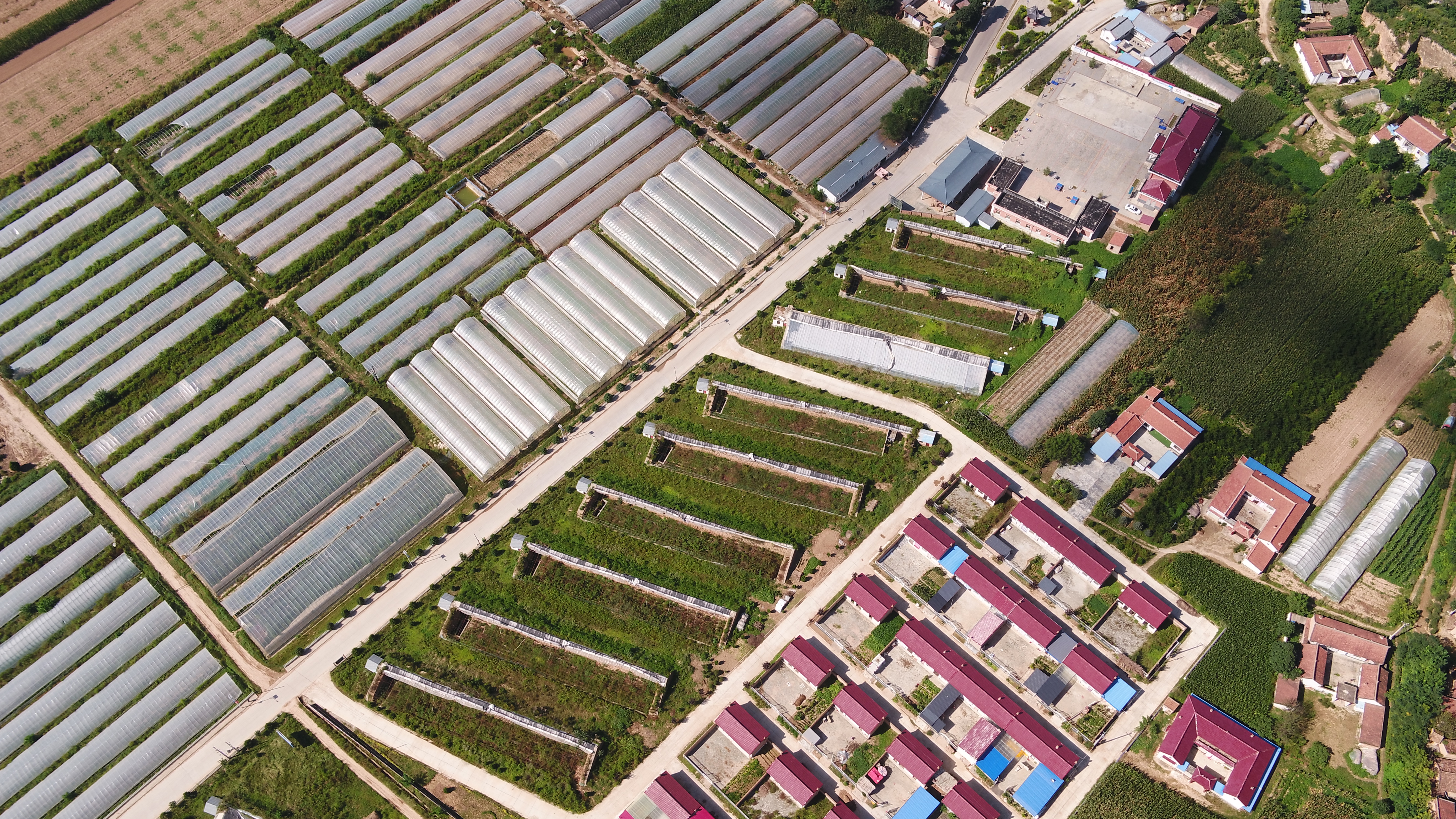 宁县北川千亩瓜菜基地产业路.jpg