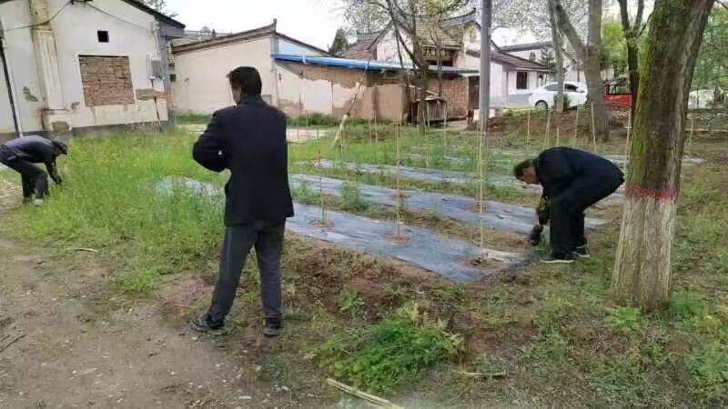 A6542BA1AB671369641203E24BEDE938