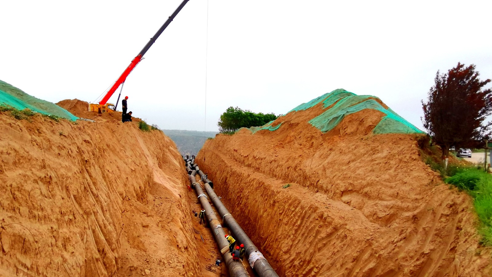 411e45edbadfd2ae2e5ece473af8221