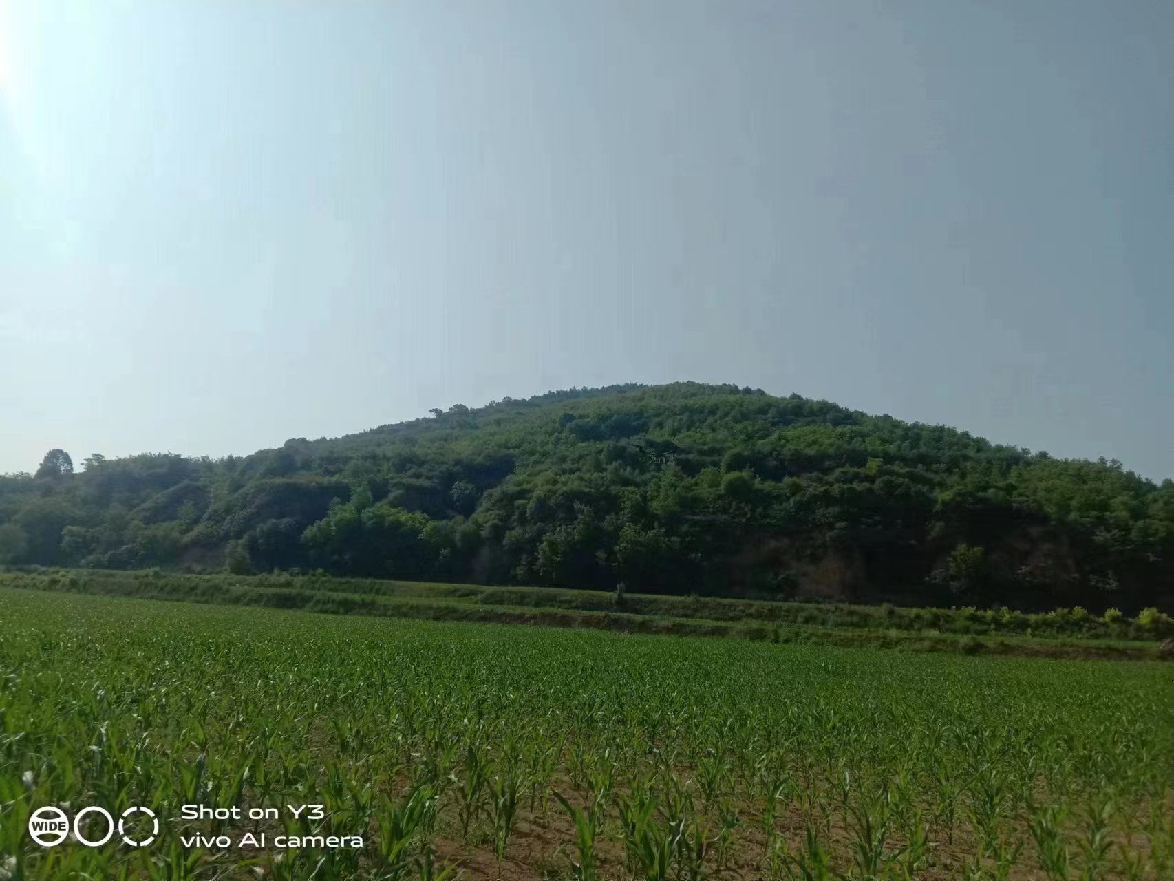 微信图片_20230711205215