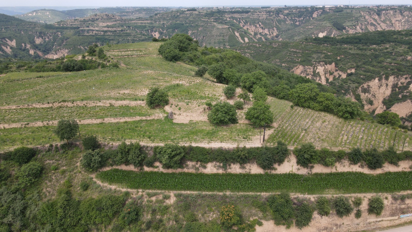 微信图片_20230706185052