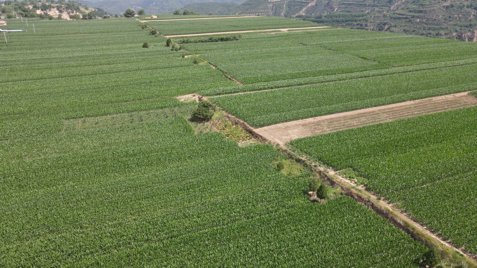 微信图片_20230706185039