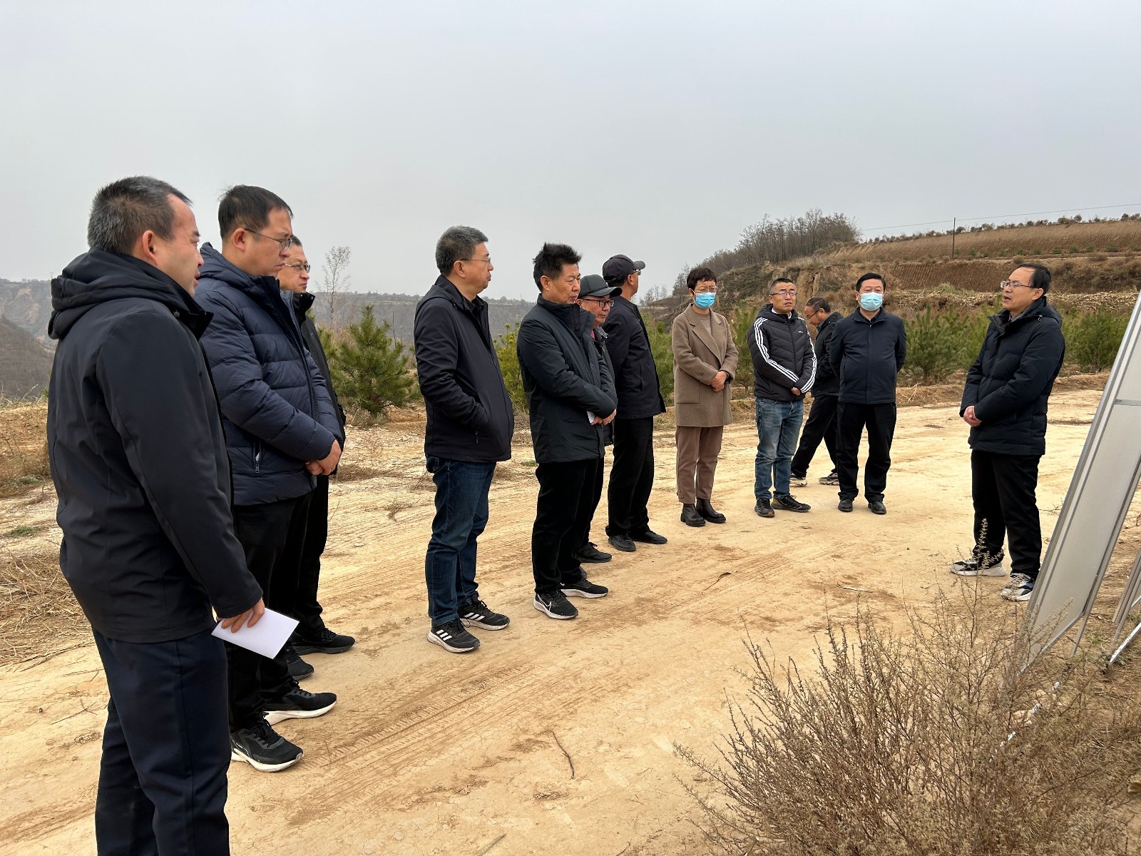 9743178d7eb3b3f******526c017a783