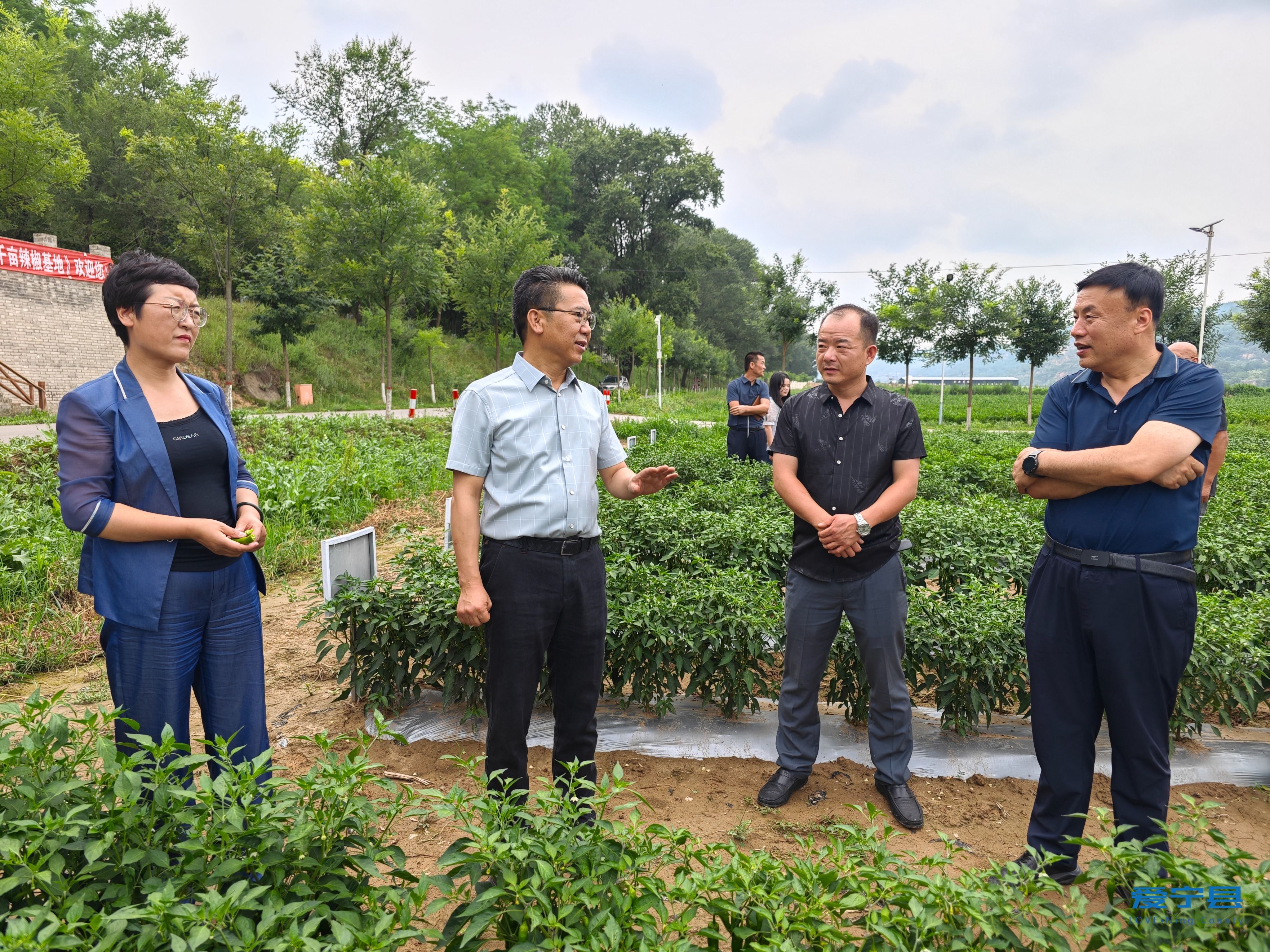 微信图片_20240711214222 微信图片_20240711214222