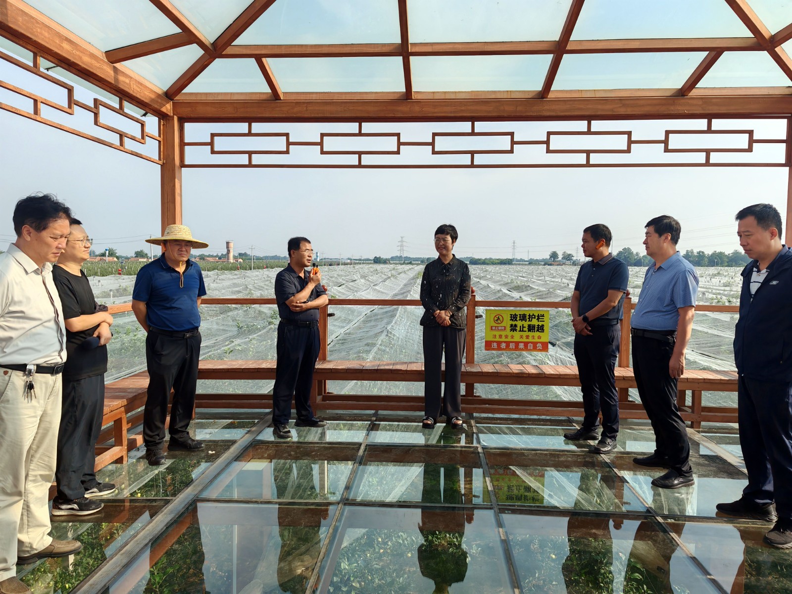 微信图片_20240802204928