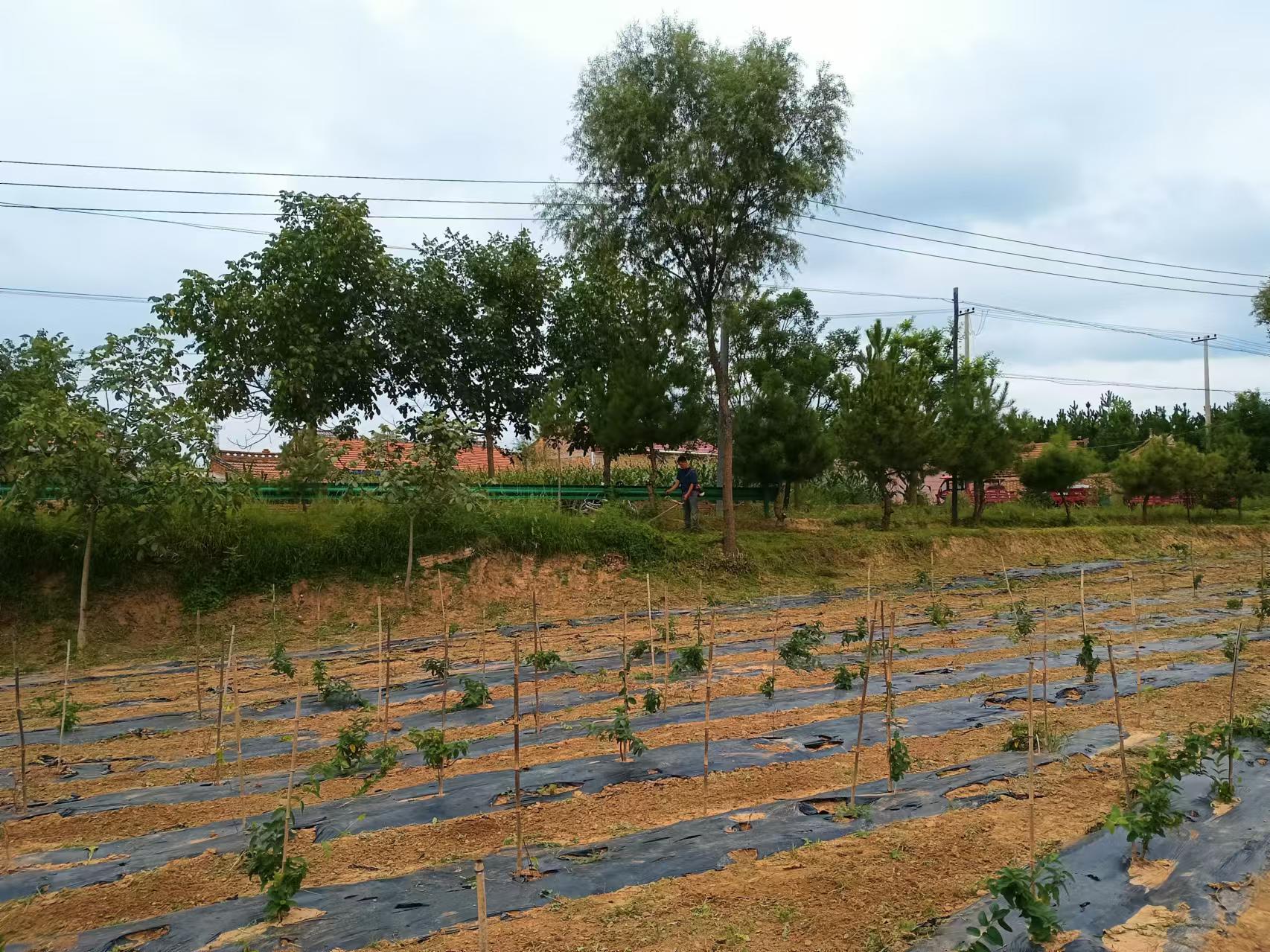 微信图片_20240829184318