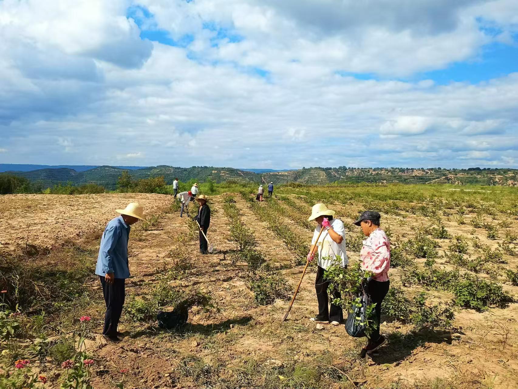 微信图片_20240829184250