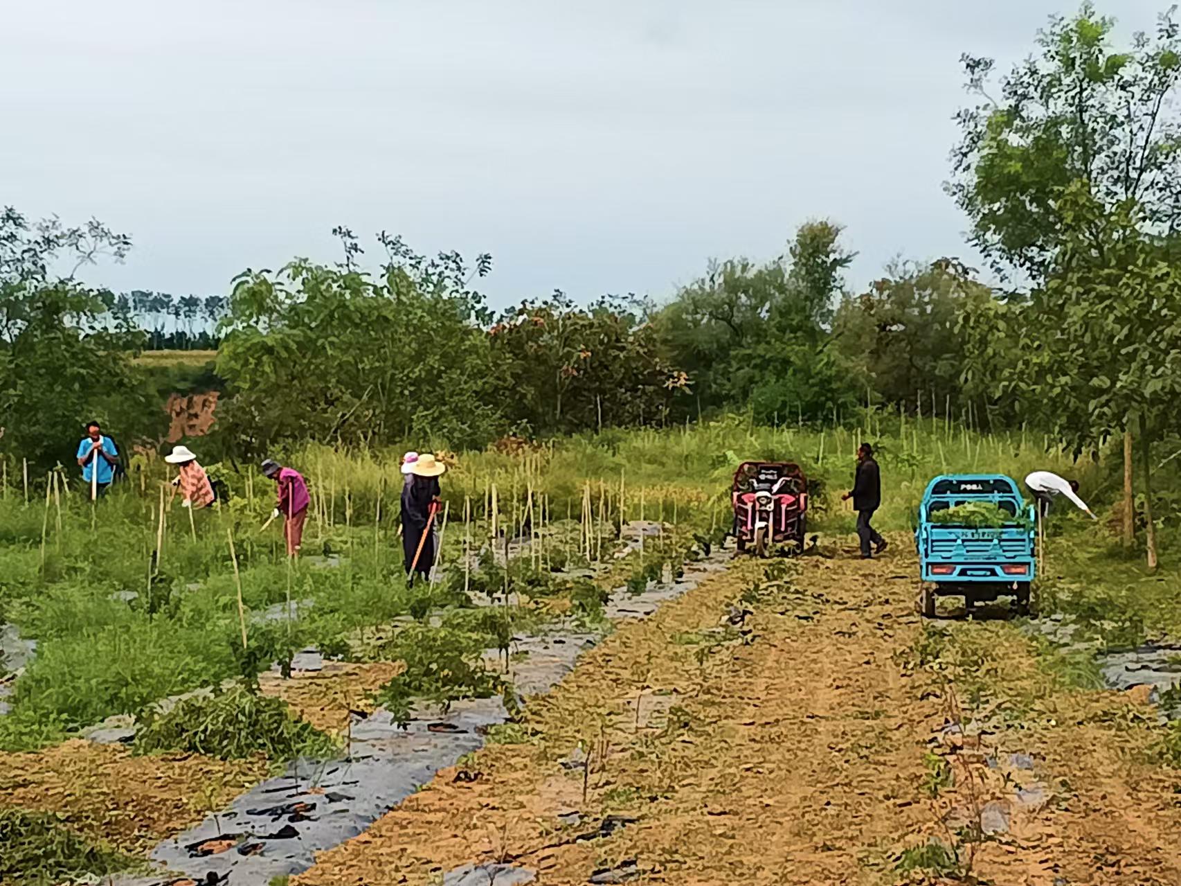 微信图片_20240829184029