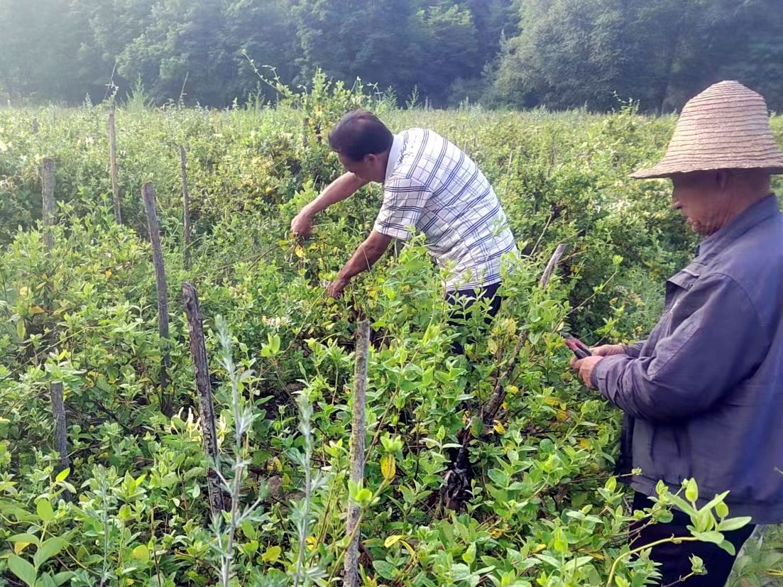 微信图片_20230719110302