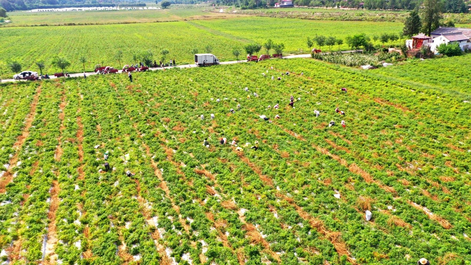 0913b05723857453c393e951ea0e80e.jpg 0913b05723857453c393e951ea0e80e.jpg