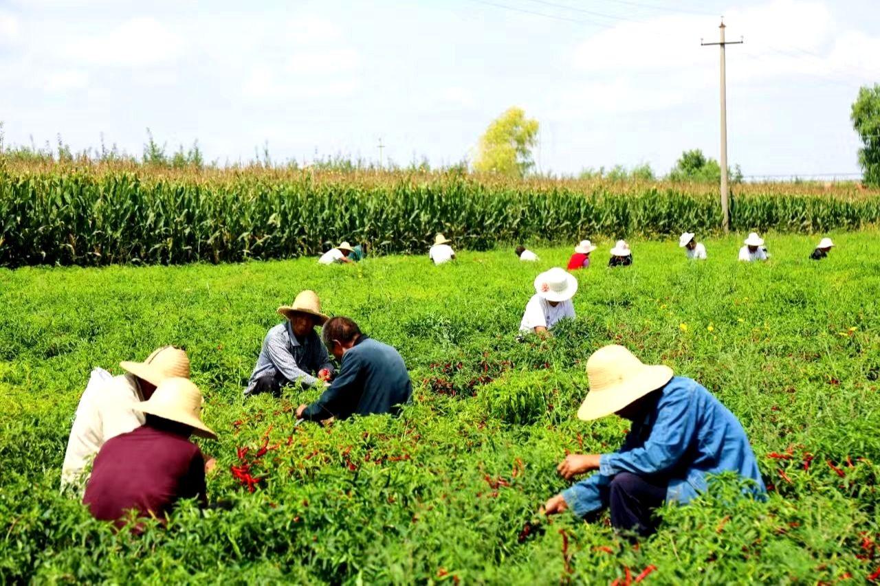 716367233f57b92c2fdf7f48d7c1302.jpg 716367233f57b92c2fdf7f48d7c1302.jpg