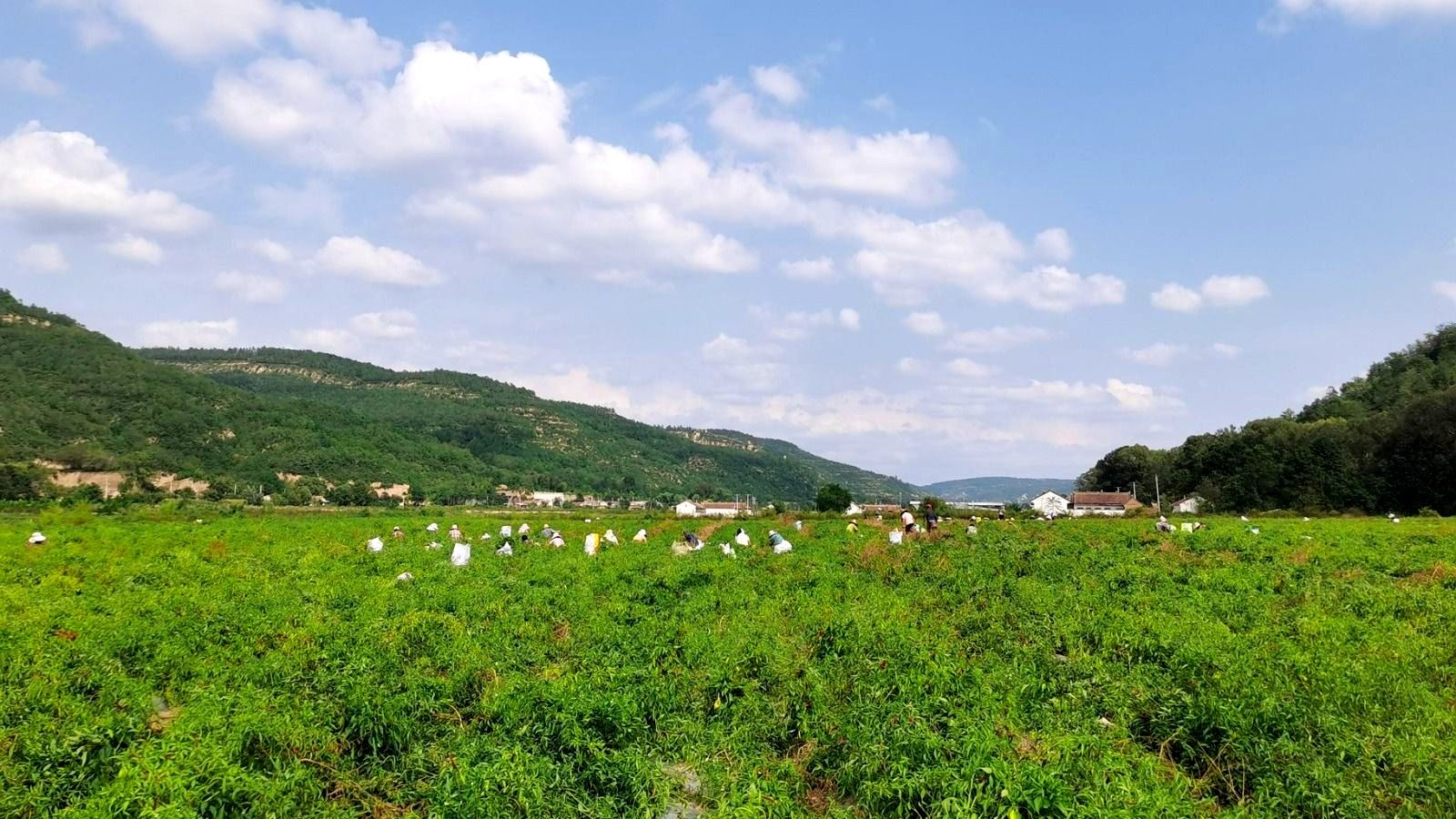 d96c96184ddccdc7e88abf41ba0ec85.jpg d96c96184ddccdc7e88abf41ba0ec85.jpg