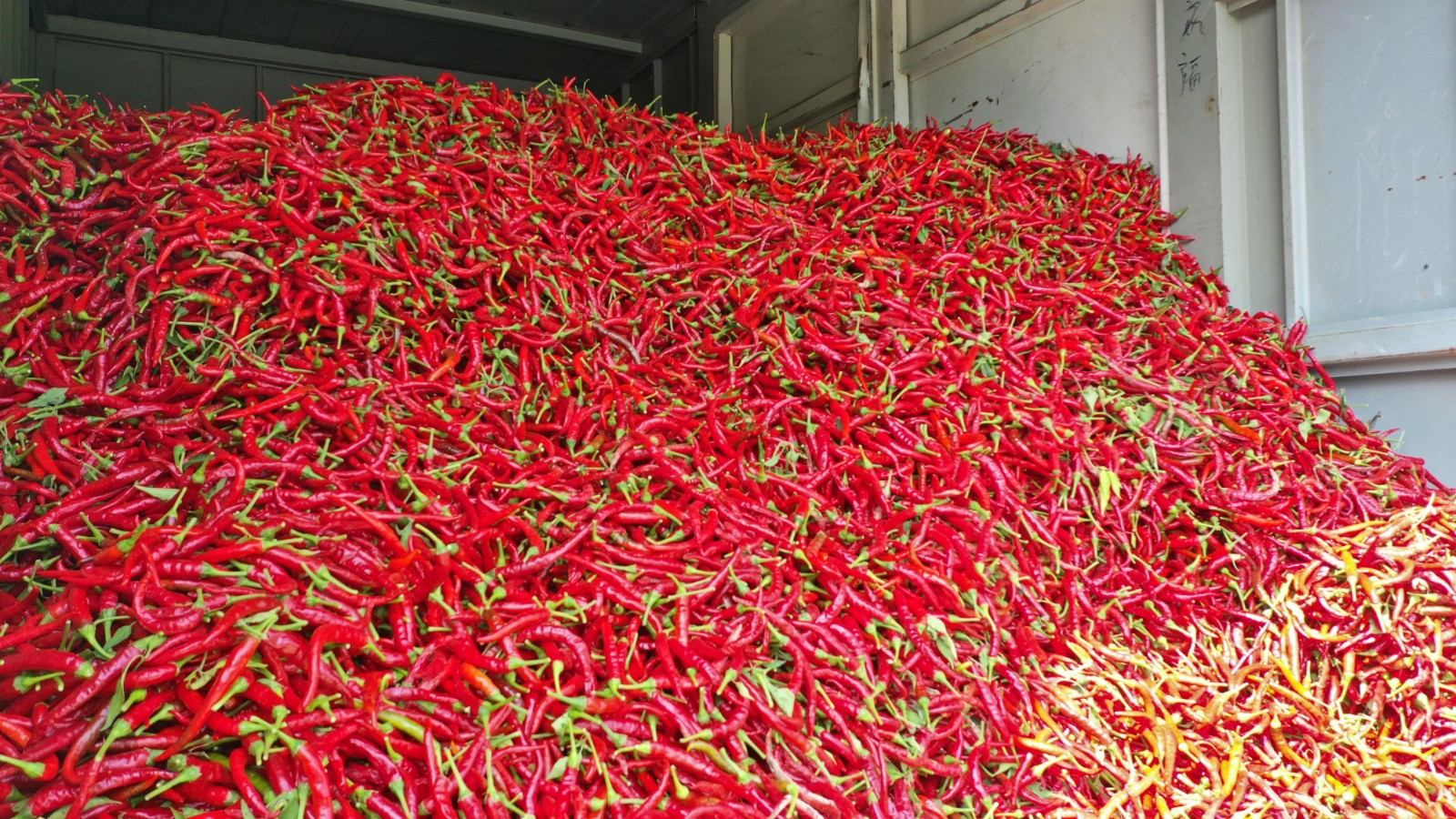 ce68ae6e2859f2f5b2e8483431e0351