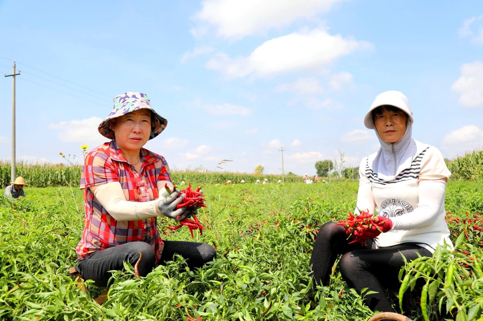 8aef6a7a1e165835af23c2956e98dd8.jpg 8aef6a7a1e165835af23c2956e98dd8.jpg