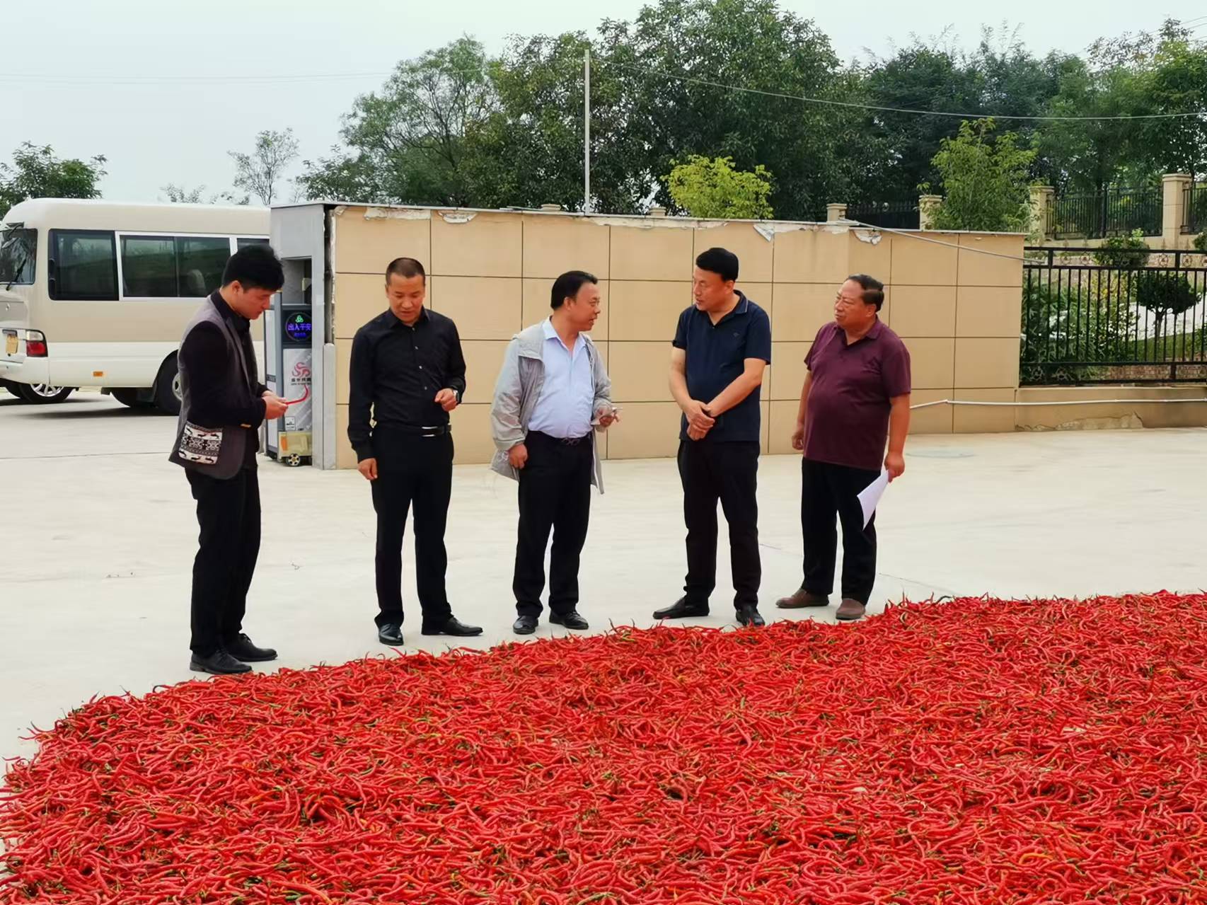 微信图片_20240909161330