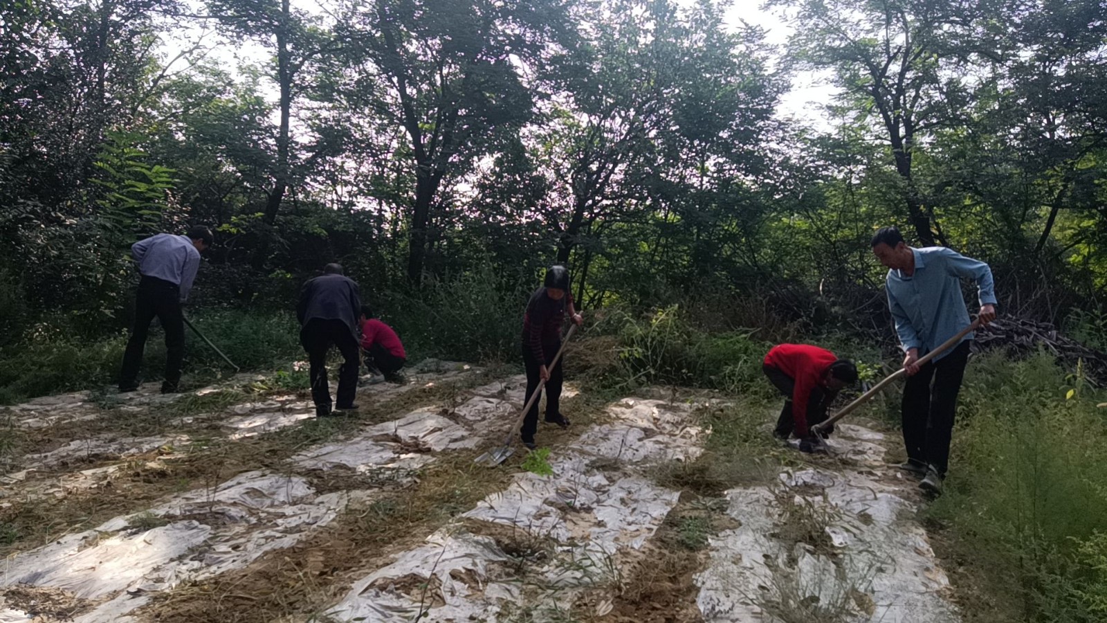 377c22ad09d9ebddf6f90c7566e6250