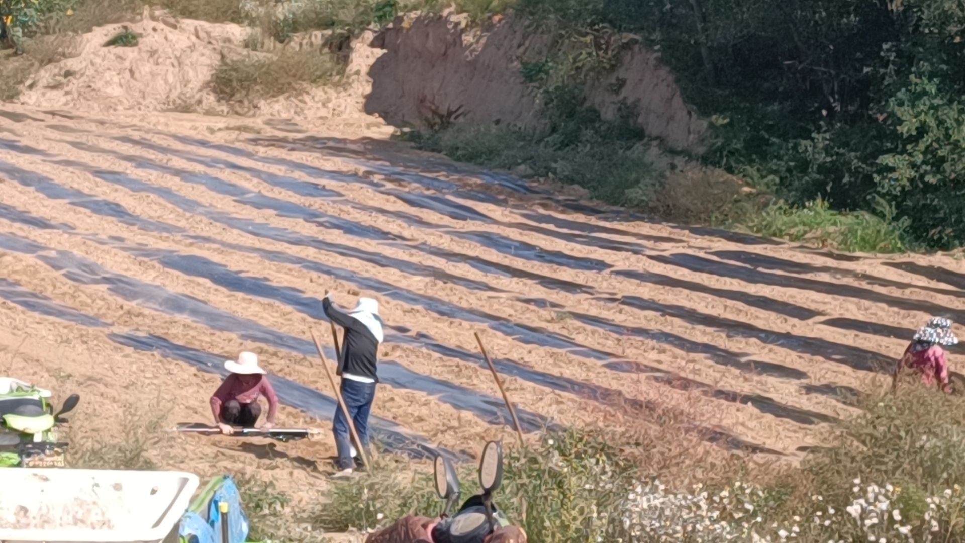 f0c80ffcbe4d9fef0beb3a5e3b022bf