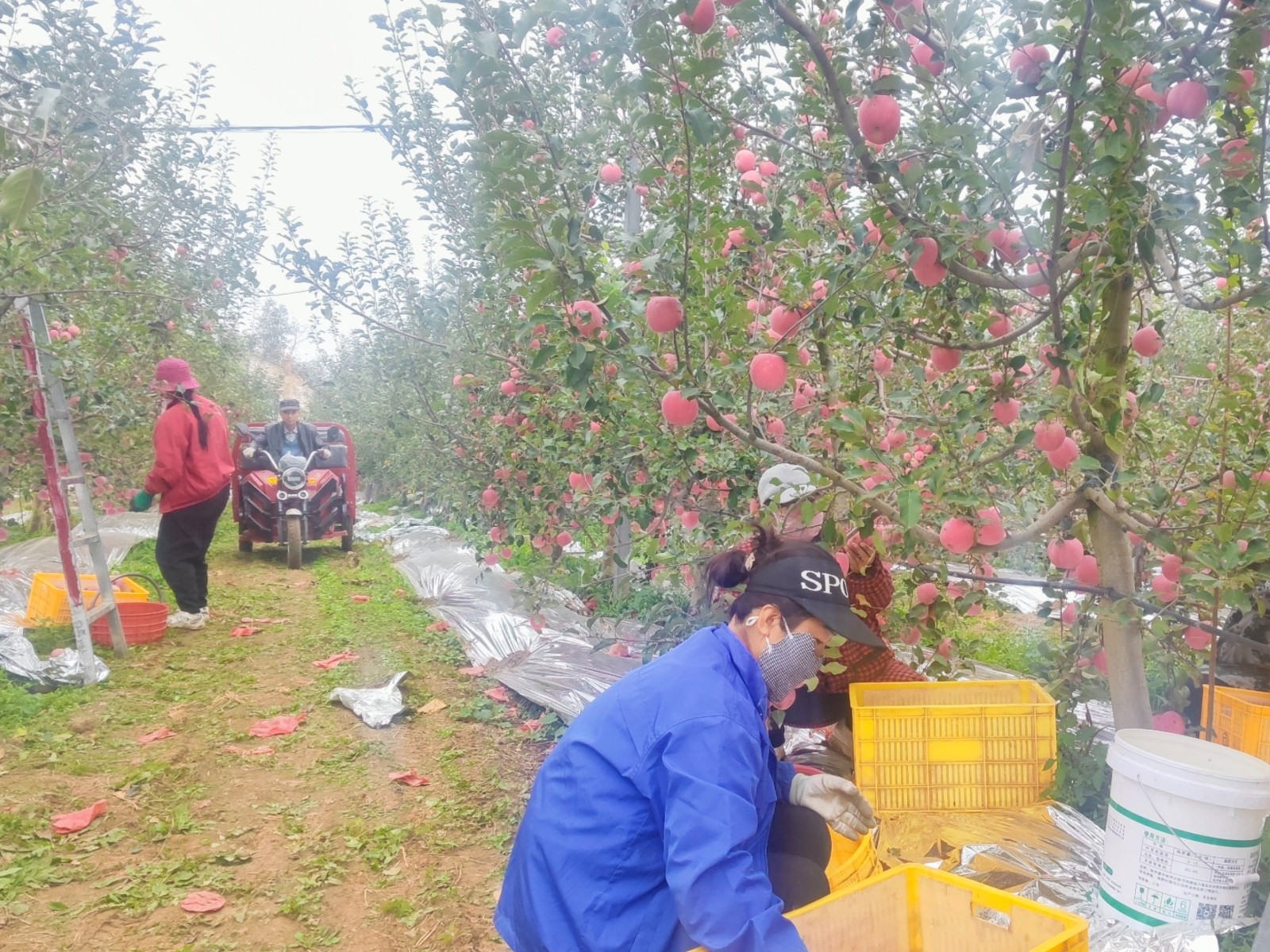 89ec5dee90c62eb27dc2d062fe5bcaf