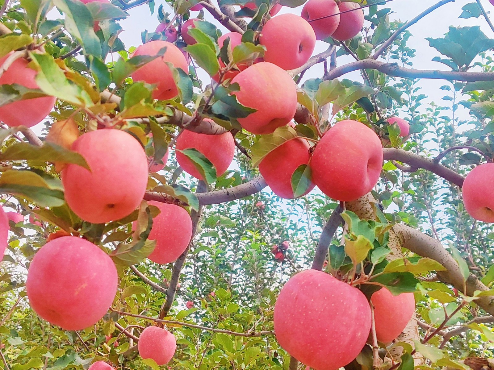 f9260ecf1649c409c163b20e8fe2da9