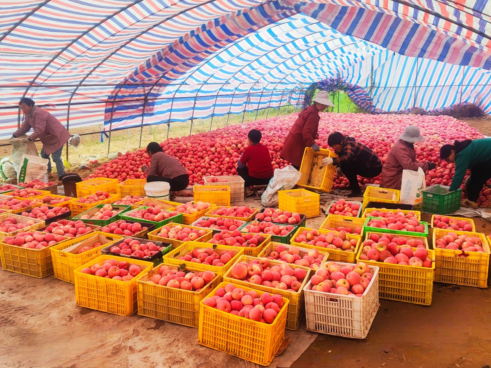 9bde473492412413642f09c86fb11ac