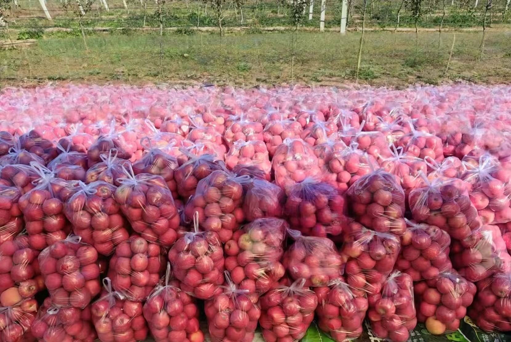 d0280c985ebb08c64721ecfc6d3c5dd