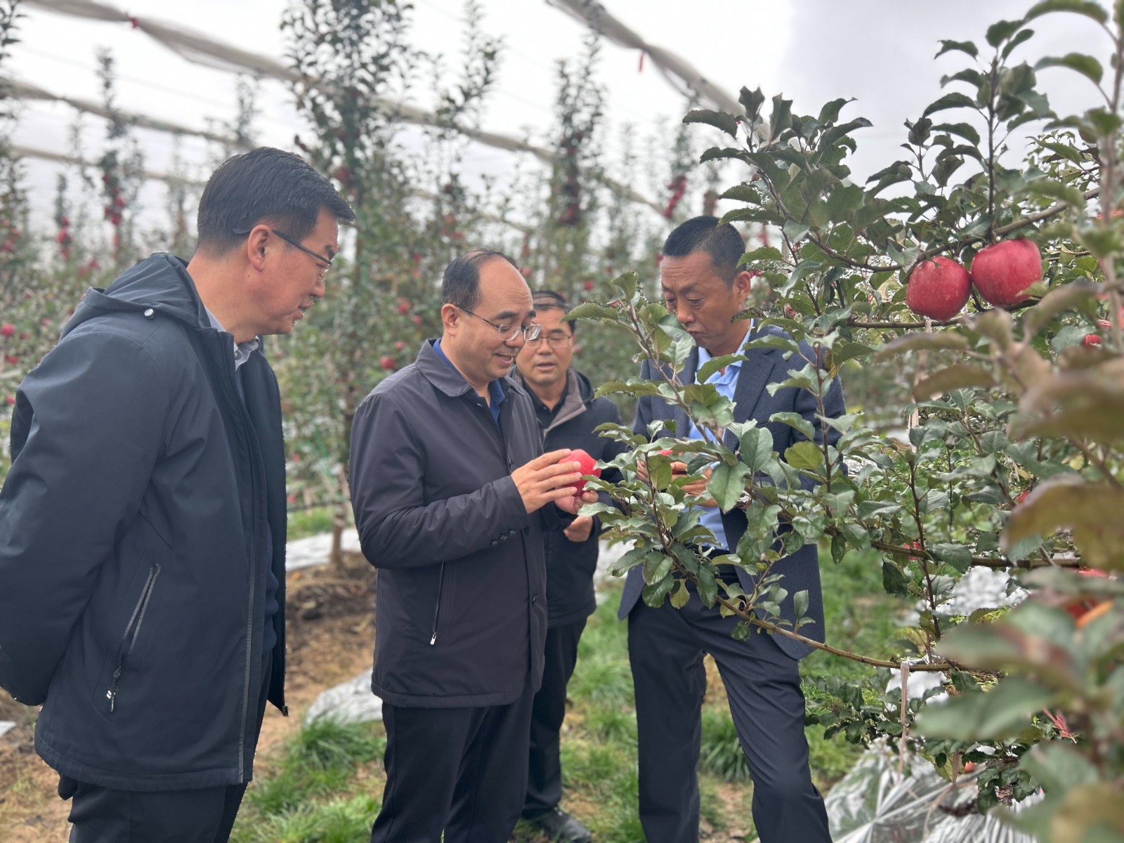 微信图片_20241101095100