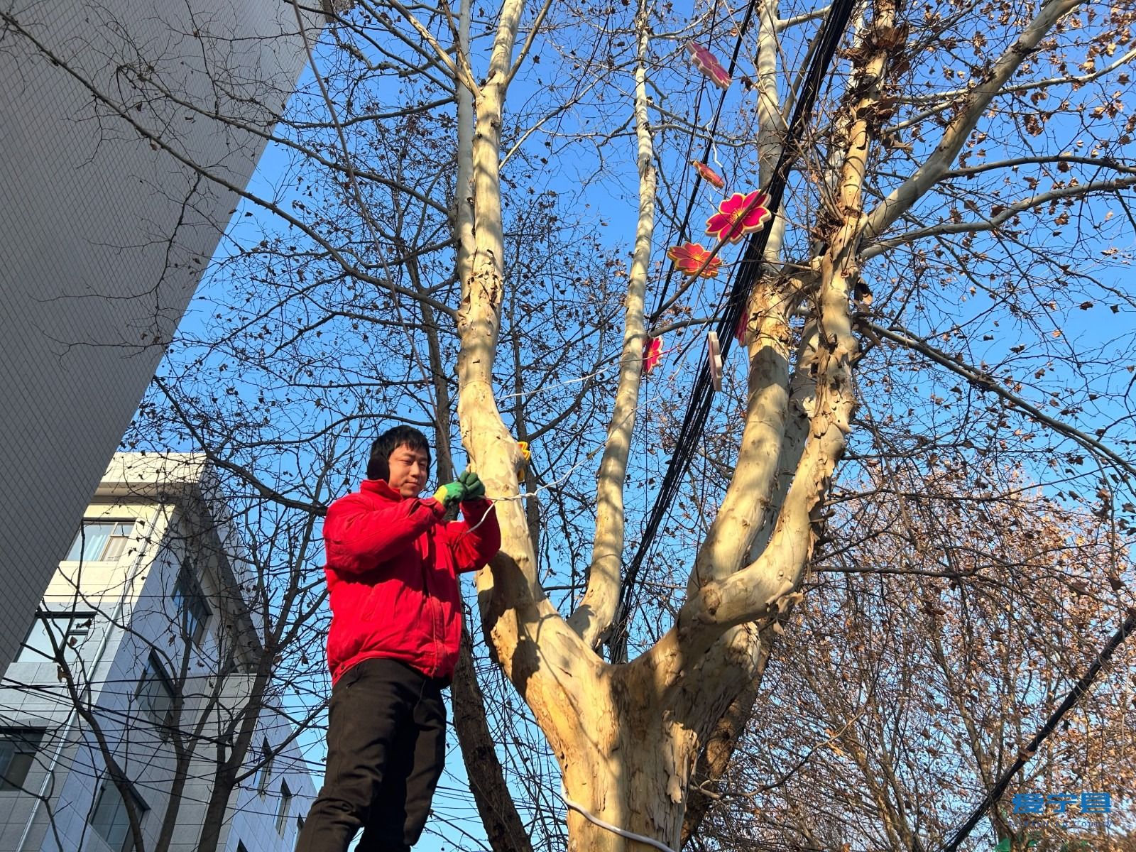 微信图片_20250121090936