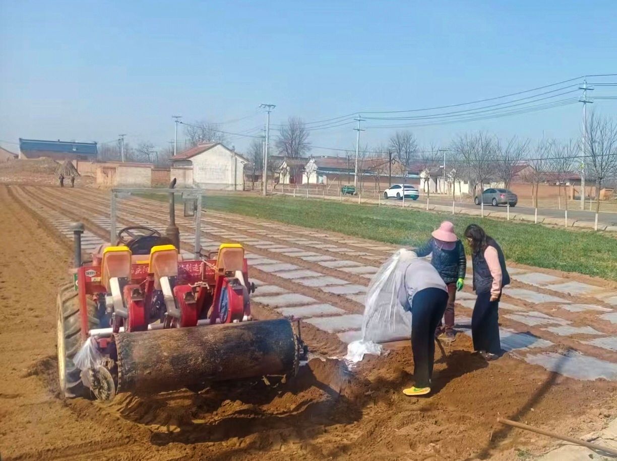 0eb16908ecb52819749ace803302ae4