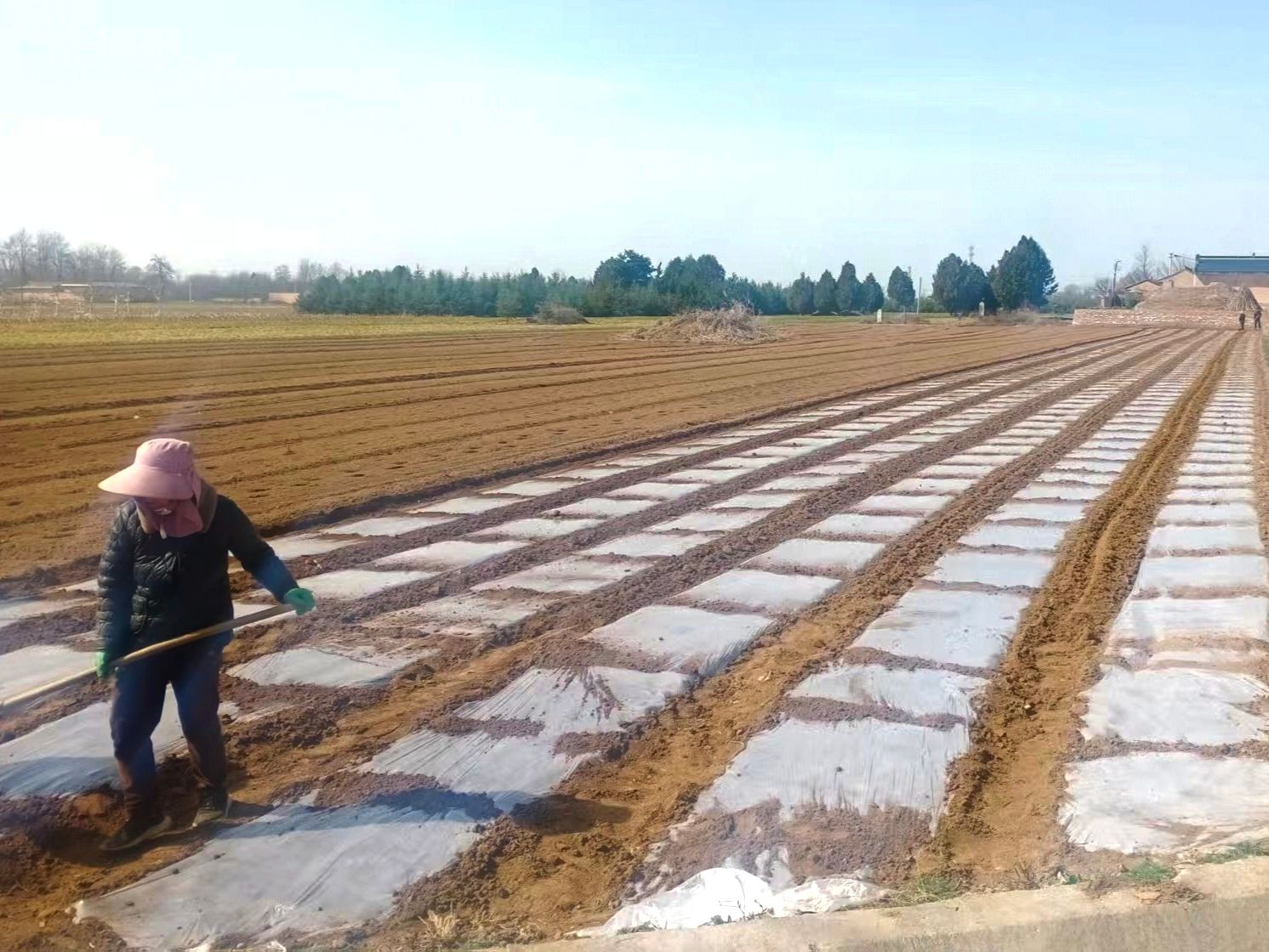 ed4850f91fbcfd8458231ffa1ab51d9