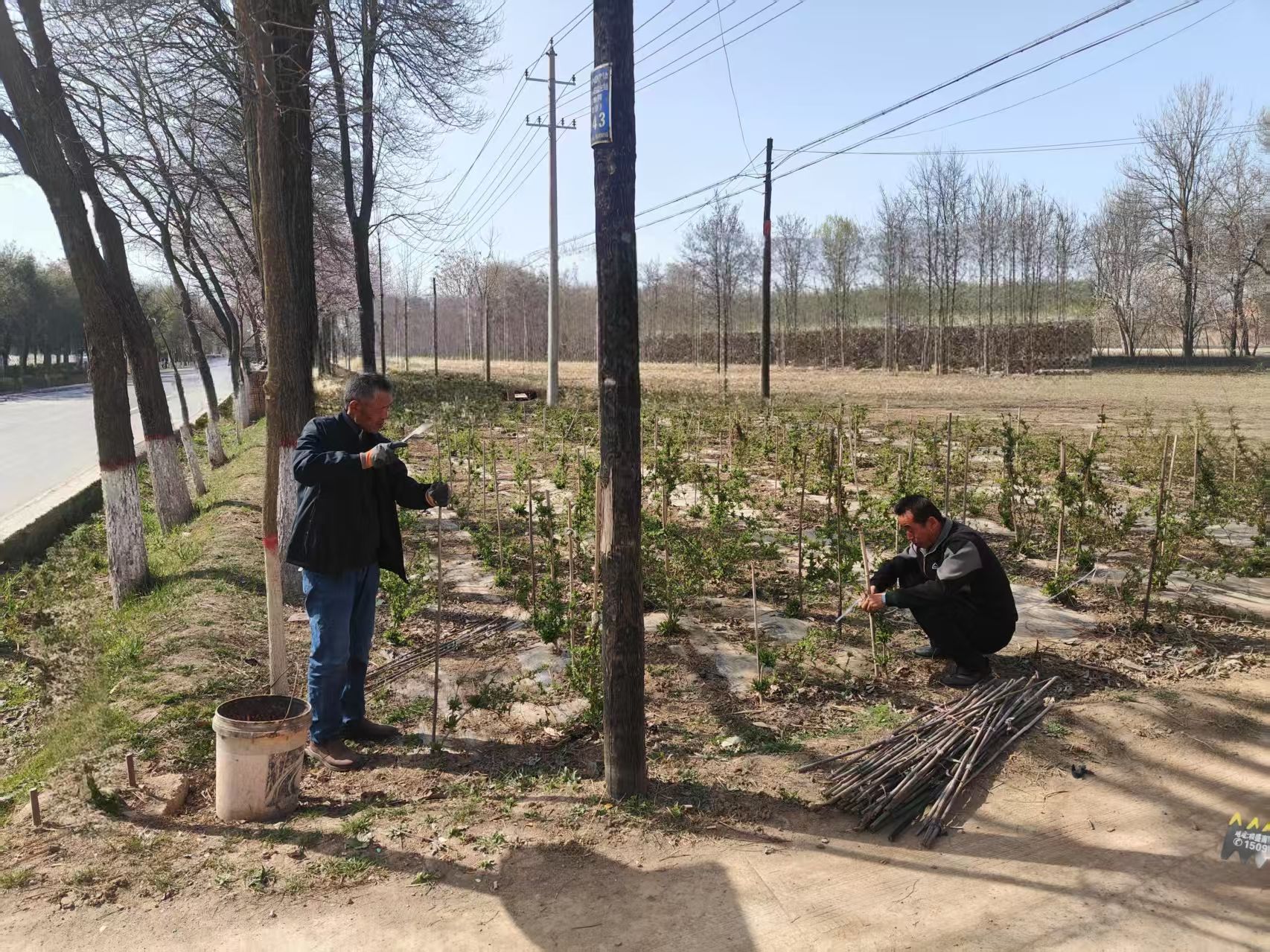 微信图片_20250408100108