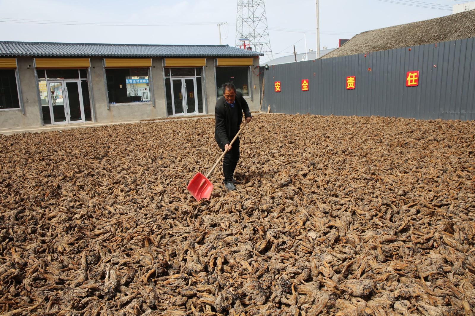 特色种植图片 (8)