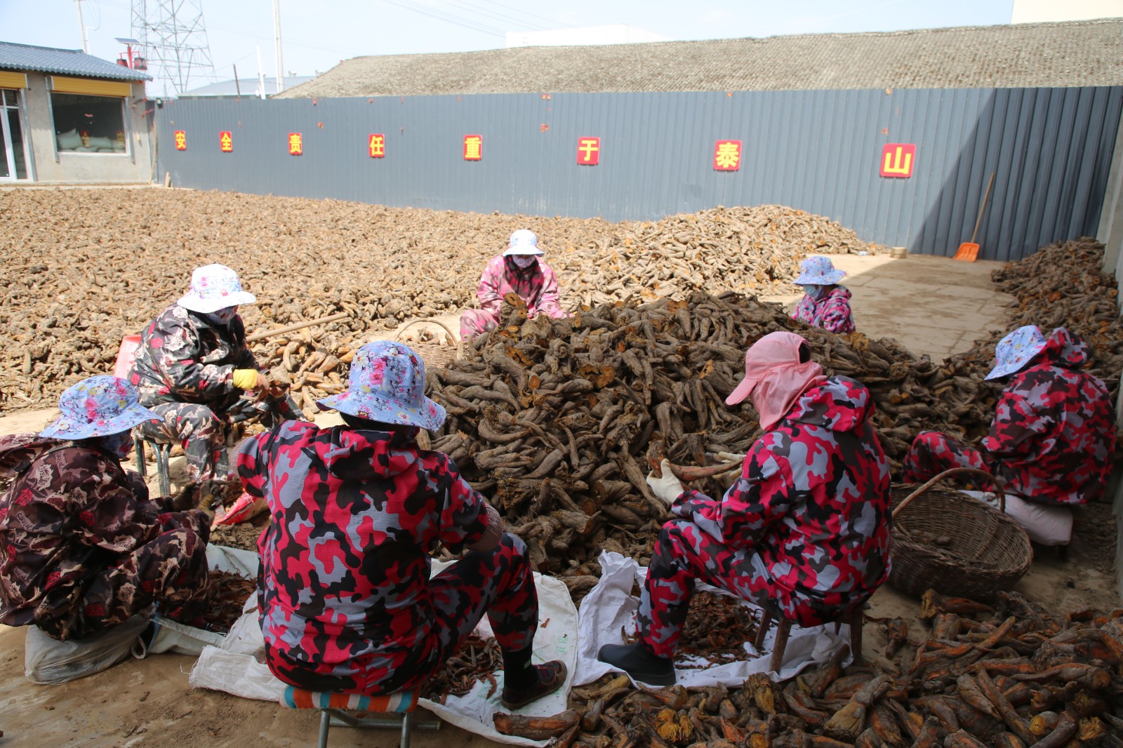 特色种植图片 (6)