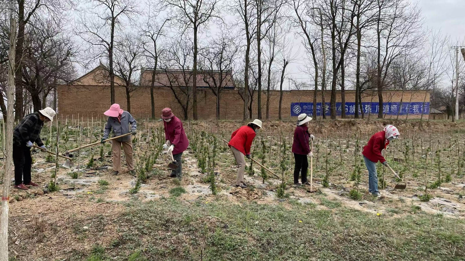 4cbff706f543911e5d7a838b733354a