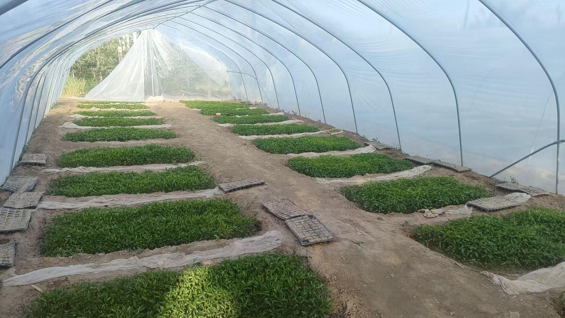 285b33c15608a942b62d3cbf6185b39