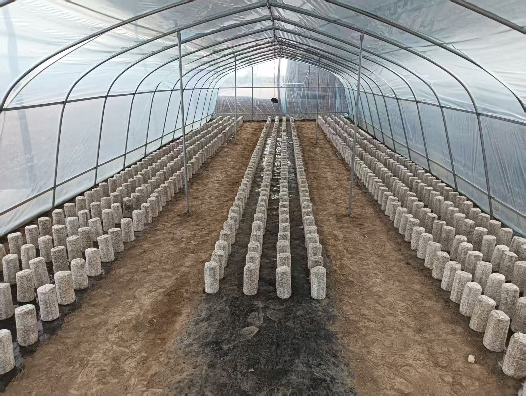 微信图片_20250514190210