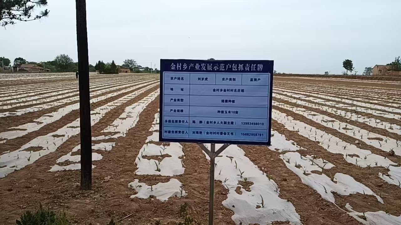 微信图片_20250514185325