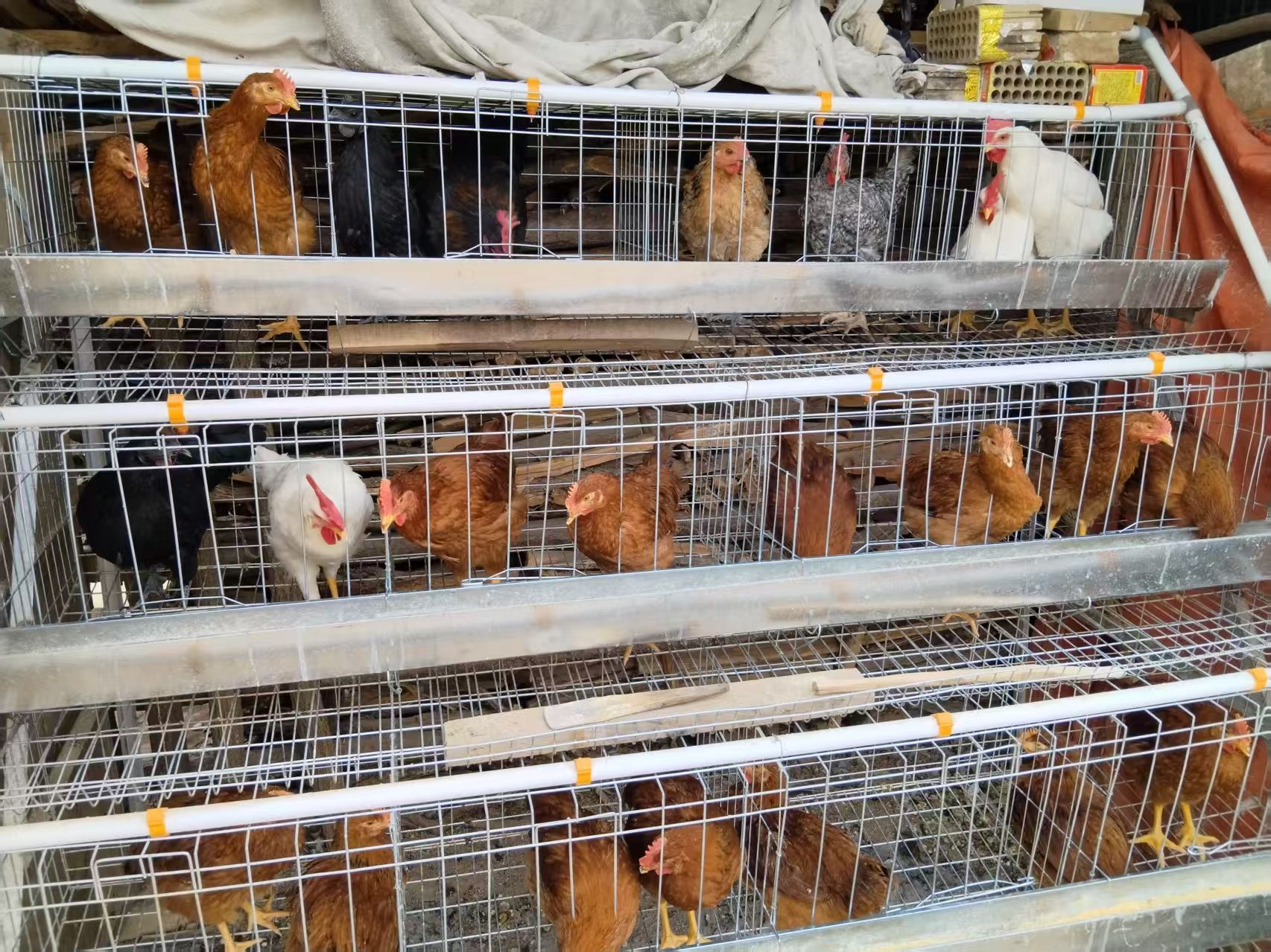 微信图片_20250514190051