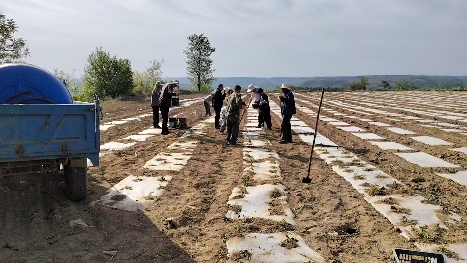 006e18bf045caddeb91f2b8e8db496a