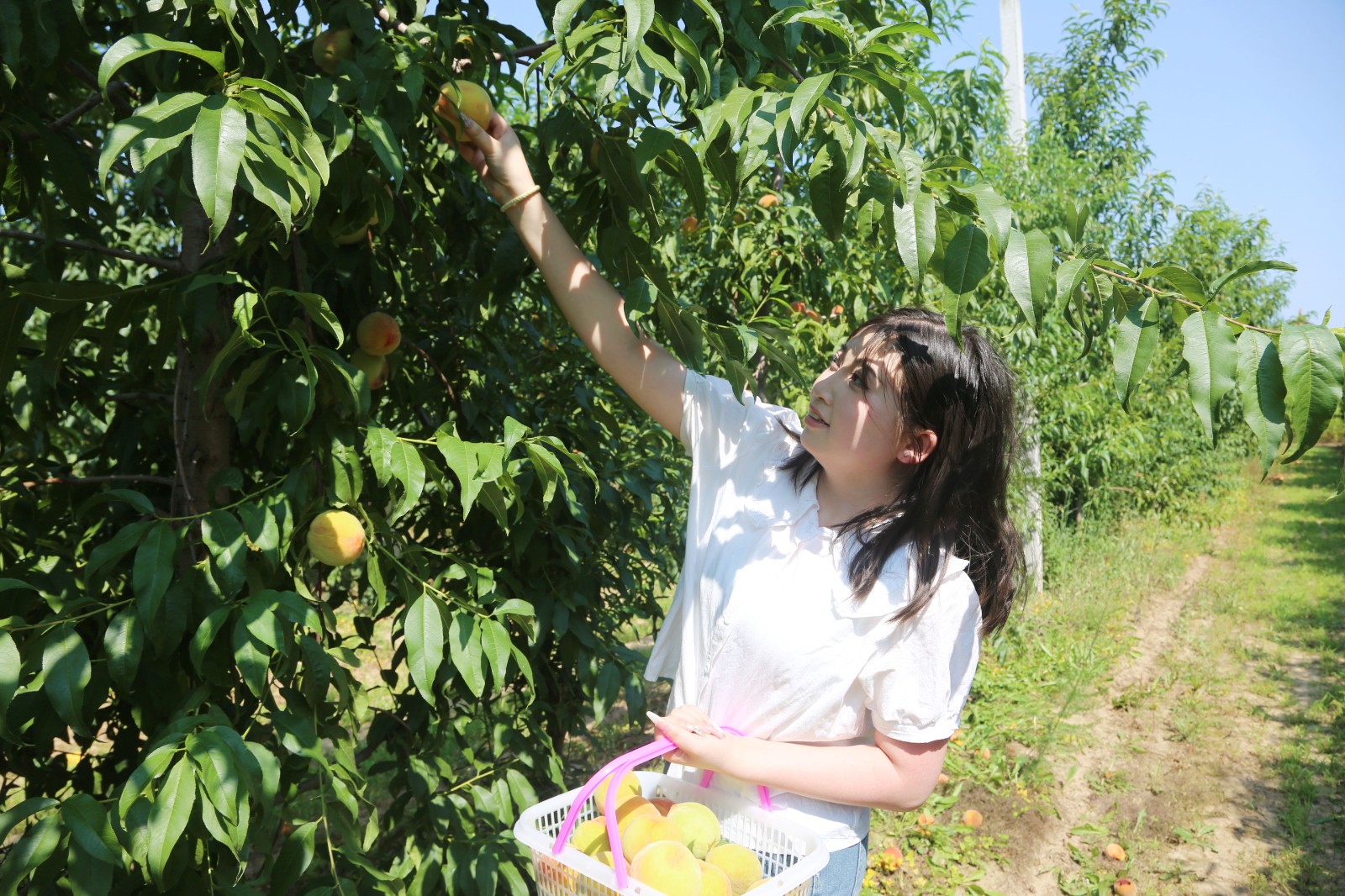 微信图片_20250730165036