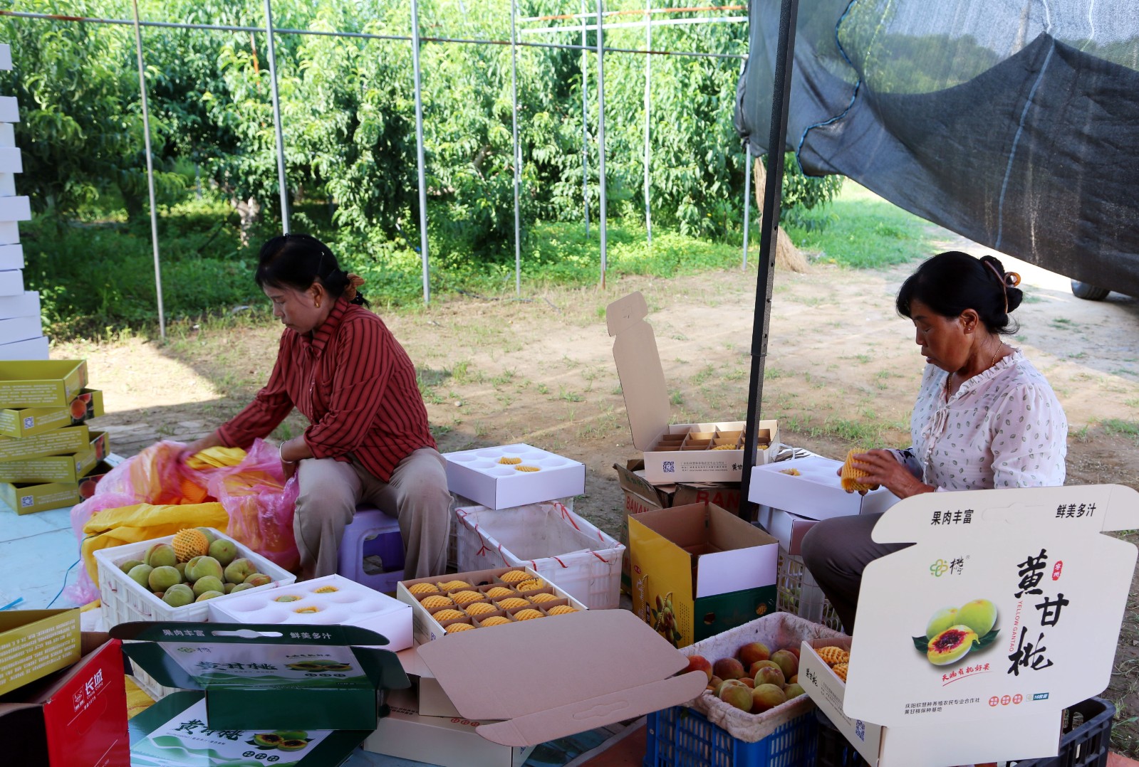 微信图片_20250730165019