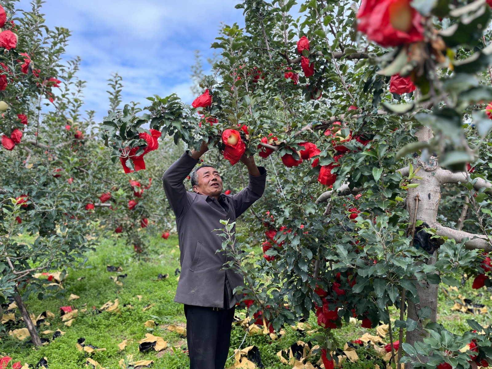 微信图片_20250930104205_96_31