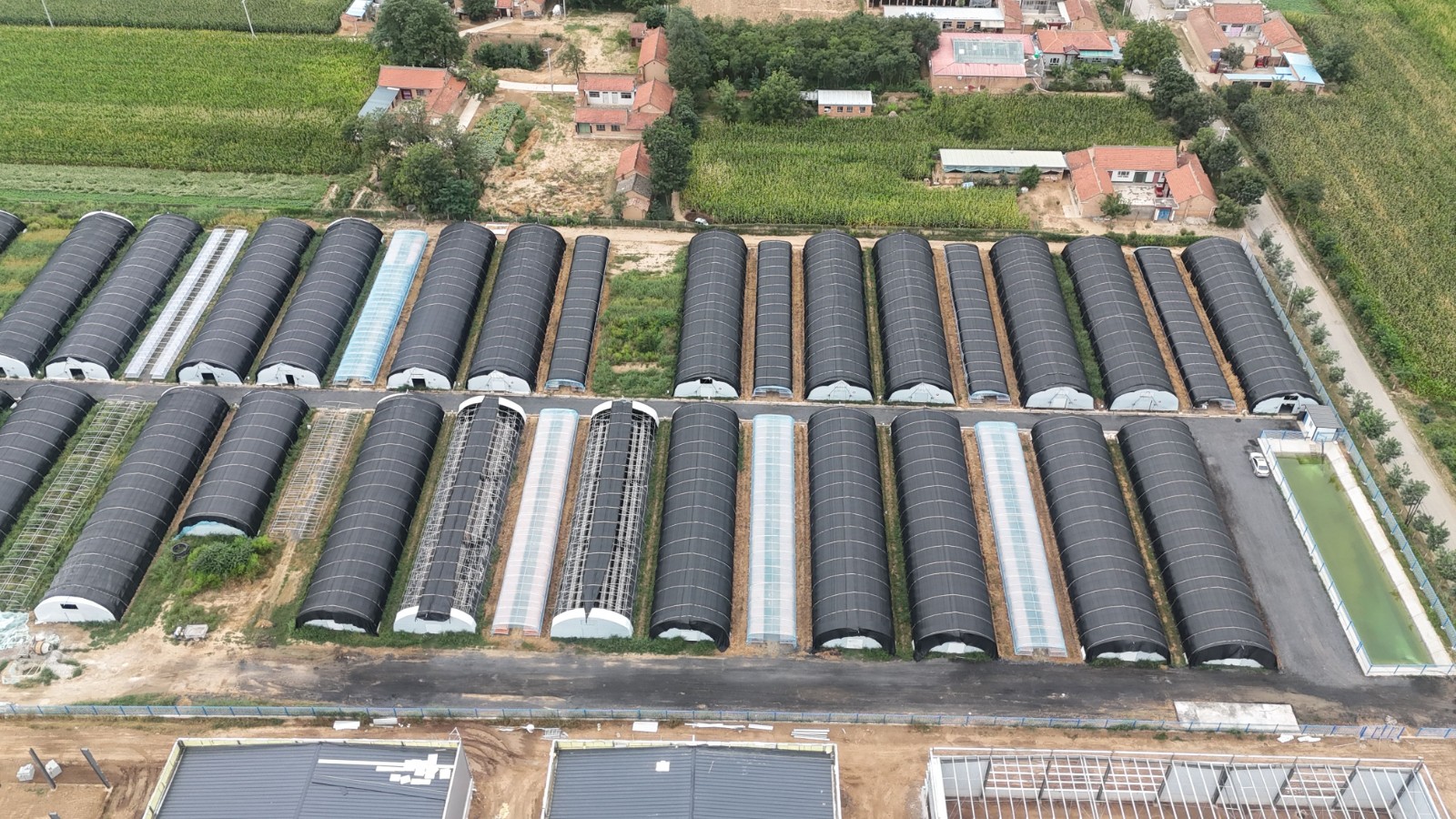 微信图片_20250913204931