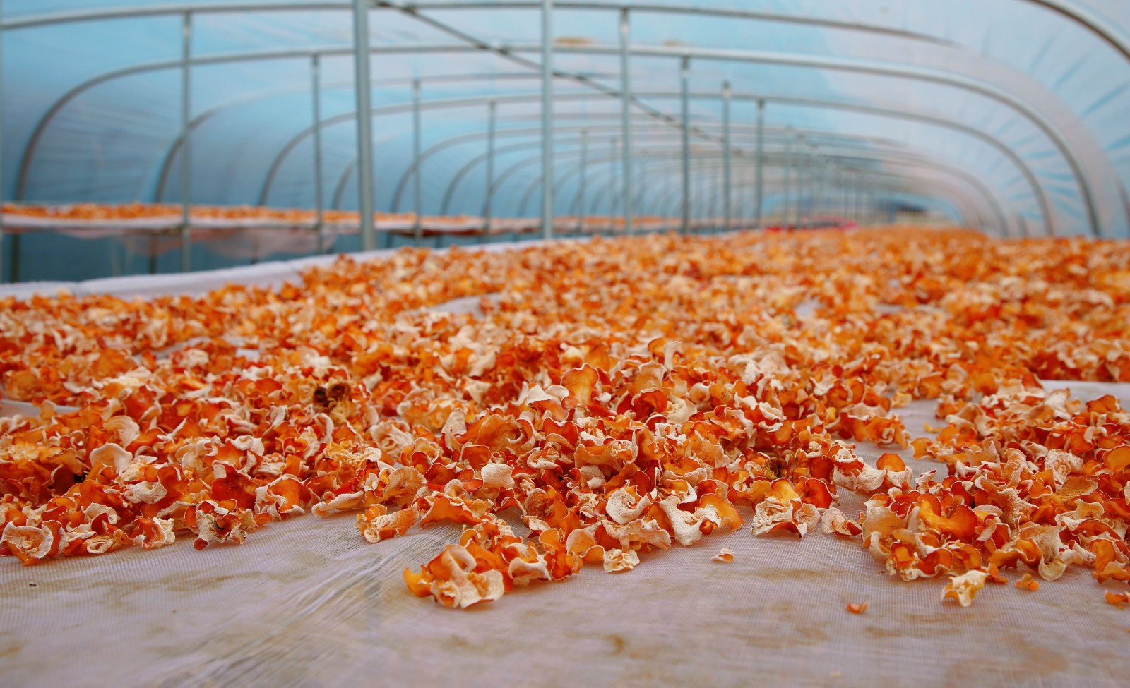 微信图片_20250913204948